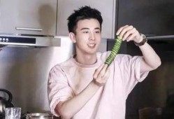 免费吃瓜的小鲜肉视频,带你领略青春魅力