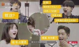 娱乐吃瓜档案,揭秘明星幕后故事