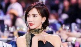 林志玲婚姻爆料视频大全,揭秘明星婚姻背后的真相