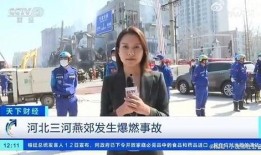 新乡记者爆料事件视频曝光,真相大白引关注