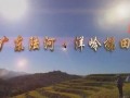 陆河新闻爆料最新情况,重大事件进展及影响揭秘