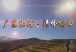 陆河新闻爆料最新情况,重大事件进展及影响揭秘