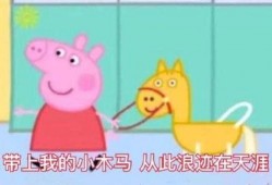 网红小猪爆料视频播放下载