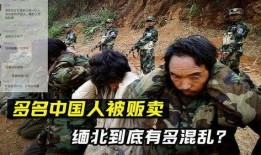 最新大爆料缅北事件真相,真相与背后的黑暗势力
