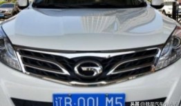 车主爆料国产车视频,车主爆料视频揭示惊艳性能与设计