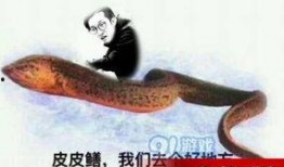 鳝在线观看,畅游鳝界，尽享视听盛宴