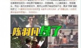新乡记者爆料事件视频曝光,真相大白引关注
