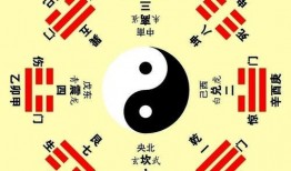 八卦爆料最新图文素材,揭秘明星私生活幕后真相！