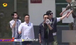 徐凯爆料新闻视频全集,事件真相与幕后黑幕深度剖析