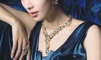 林志玲婚姻爆料视频大全,揭秘明星婚姻背后的真相