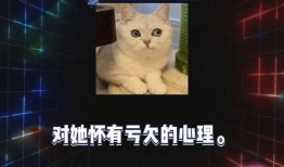 娱乐八卦吃瓜视频下载,跟随吃瓜视频，一探究竟！