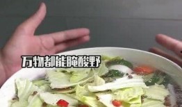 腌菜做法爆料视频教学,传统美味轻松掌握