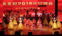 爆料元旦晚会视频完整版,揭秘完整版幕后花絮