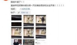 黑料爆料视频大全,视频大全背后的真相与争议