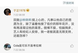 娱乐圈吃瓜文件,揭秘“吃瓜文件”背后的真相