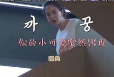 光洙姐姐爆料视频,娱乐圈幕后真相大曝光