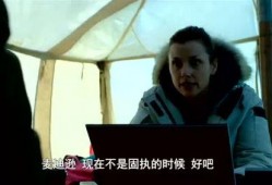 电影雪海在线观看,冰封岁月的深情守望