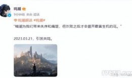 鸣潮爆料最新消息新闻,揭秘神秘新闻背后的真相