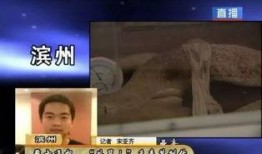 国美员工爆料事件视频完整版,揭露企业内部惊人内幕
