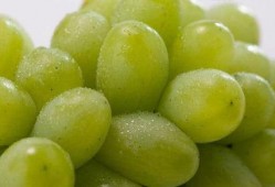爆料网红提子的新闻事件,真相与争议