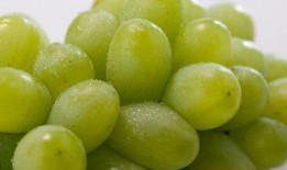 爆料网红提子的新闻事件,真相与争议