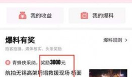 爆料视频赚钱吗,通过爆料视频轻松赚钱的秘诀解析