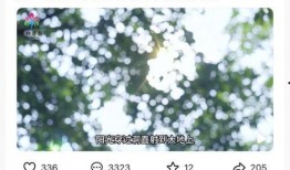 山东卫视 爆料事件视频,揭秘背后惊人真相