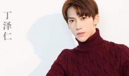 娱乐圈爆料丁泽仁,揭秘明星背后的故事