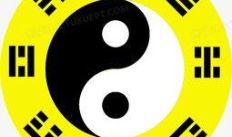 八卦爆料最新图文素材,揭秘明星私生活幕后真相！