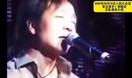 许巍前女友爆料王菲视频,前女友爆料视频揭露真相