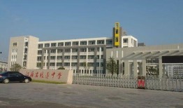 最新爆料致远中学,揭秘最新爆料背后的真相