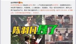 豪华29代最新爆料视频,最新爆料视频深度解析