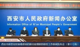 西安飞翔最新爆料新闻,揭秘项目进展与未来规划