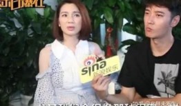 深夜爆料刘晶完整版视频,揭秘背后惊人真相