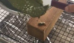 爆料臭豆腐怎么做的视频,传统工艺与现代创新的完美融合