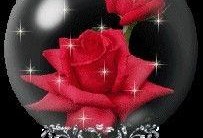 水晶玫瑰全新爆料视频在线观看,揭秘神秘力量与浪漫传说