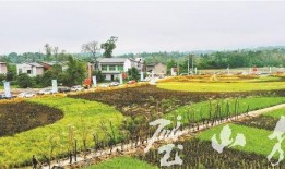 璧山爆料最新新闻,聚焦民生热点，揭秘事件真相