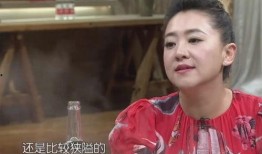 杨澜被儿子爆料了吗视频,揭秘明星家庭背后的故事