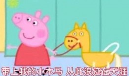 网红小猪爆料视频播放下载