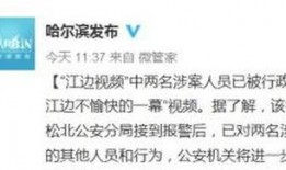 哈尔滨江边爆料事件视频,真相与争议交织的现场直击