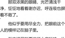 吃瓜发疯推文小说免费阅读,小说免费阅读，揭秘娱乐圈背后的疯狂故事