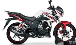 豪爵最新爆料车型有哪些