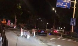 护栏爆料事件视频播放,揭秘事件背后真相