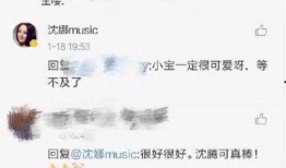 沈腾姐姐爆料完整视频,揭秘娱乐圈幕后真相