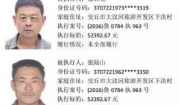 安丘最新爆料新闻事件,最新爆料揭秘真相