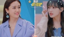 刘芸爆料视频最新版,娱乐圈惊人内幕大曝光！