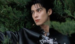 王鹤棣爆料最新,揭秘娱乐圈背后的惊人真相！