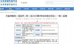 爆料最新项目有哪些内容,前沿科技与创新应用全解析