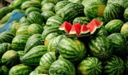 吃瓜最近网红是谁呀,揭秘近期吃瓜群众热议的当红炸子鸡