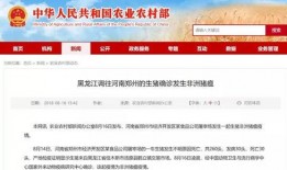新密热点爆料最新消息,最新爆料揭示惊人真相！